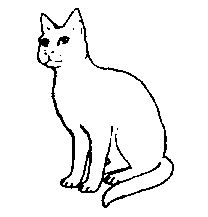 Line Drawing Cat