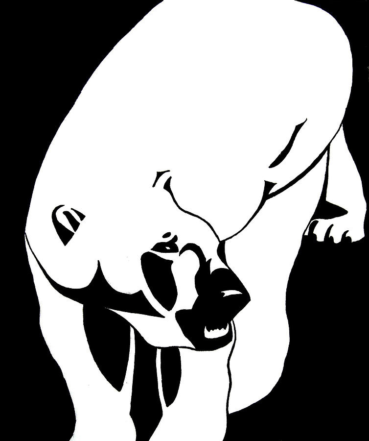 Polar Bear Drawing by Annie Nelson - Polar Bear Fine Art Prints ...