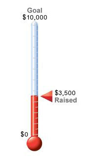 Fundraising Thermometer | Cool Thermometer for Fundraising