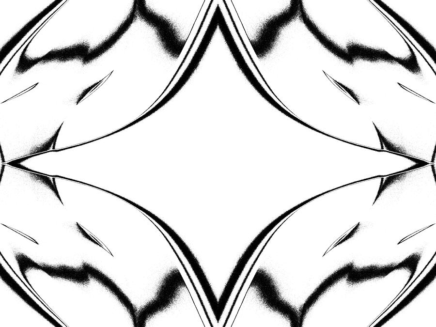 718 views White Star Photograph by Danny Lally - White Star Fine Art Prints ...