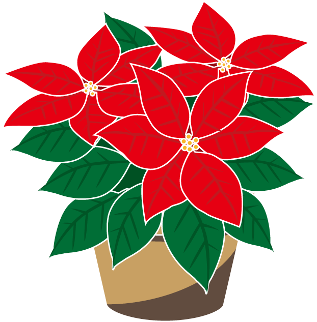 poinsettia flower free clip art - photo #4