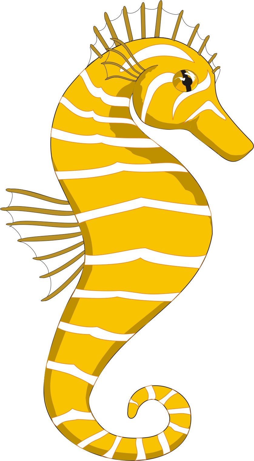 seahorse clip art - photo #29