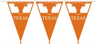Texas Longhorns Pennant Flags your Texas Longhorns Pennant Flag ...