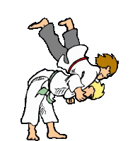 Sport graphics judo 812752 Sport Graphic Gif