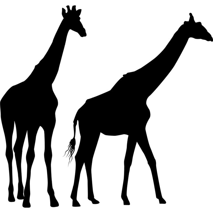 Giraffe Silhouette | Baby Giraffes, Cute Giraffe and Ani…