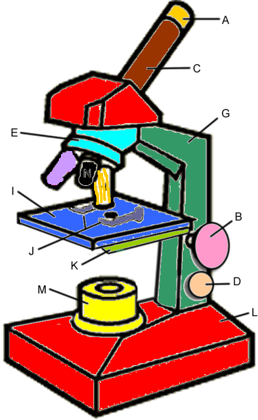 Keys, Labs and Coloring