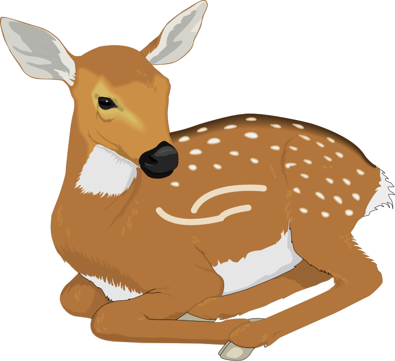 Deer clip art for kids free clipart images 2 - Cliparting.com
