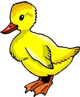 Free baby duck clipart