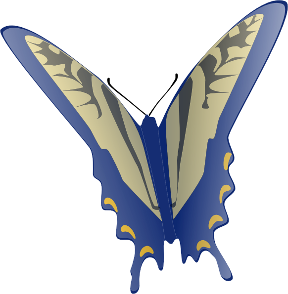 Butterfly Clip art - Animal - Download vector clip art online