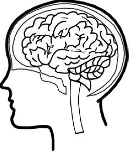 Psychology Brain Clipart