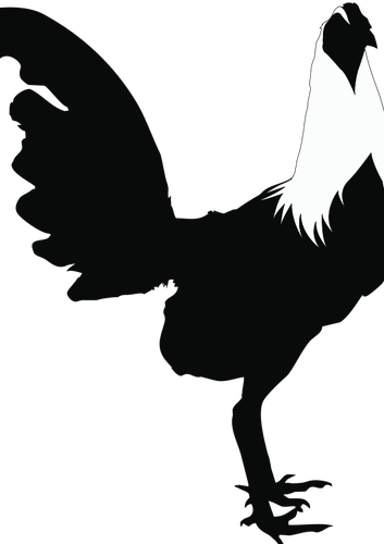 Rooster silhouette clip art | Public domain vectors