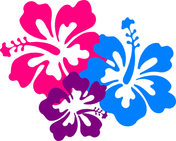 Hibiscus Border Png Clipart - Free to use Clip Art Resource