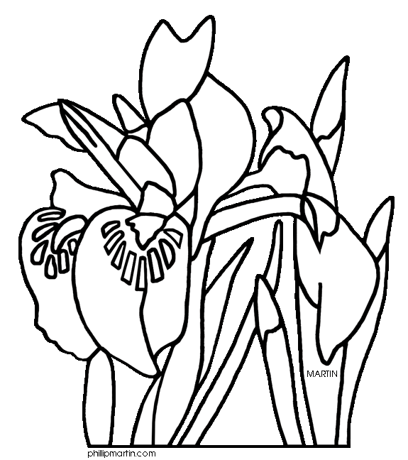 Iris Flower Clip Art Free - Free Clipart Images
