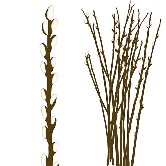 willow tree clip art images - photo #12