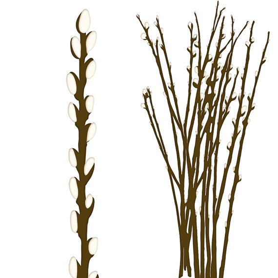 clip art willow tree - photo #14