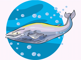 Fish graphics whale 795153 Fish Graphic Gif
