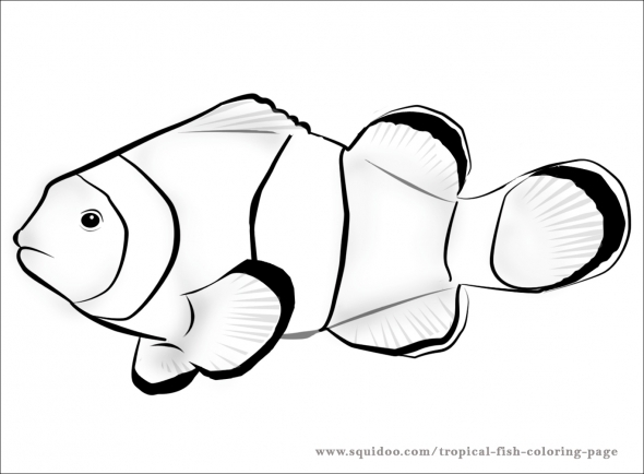 Nemo Fish Clipart Black And White