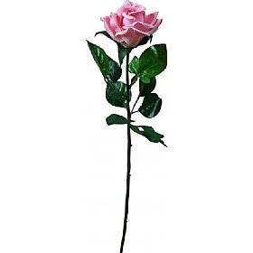 Single Stem Half Open Rose - Pink | Flowers