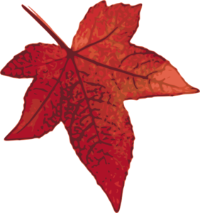 Red Maple Leaf clip art - vector clip art online, royalty free ...