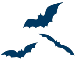 Tell Us Your Batty Stories! - Bat Conservation Trust