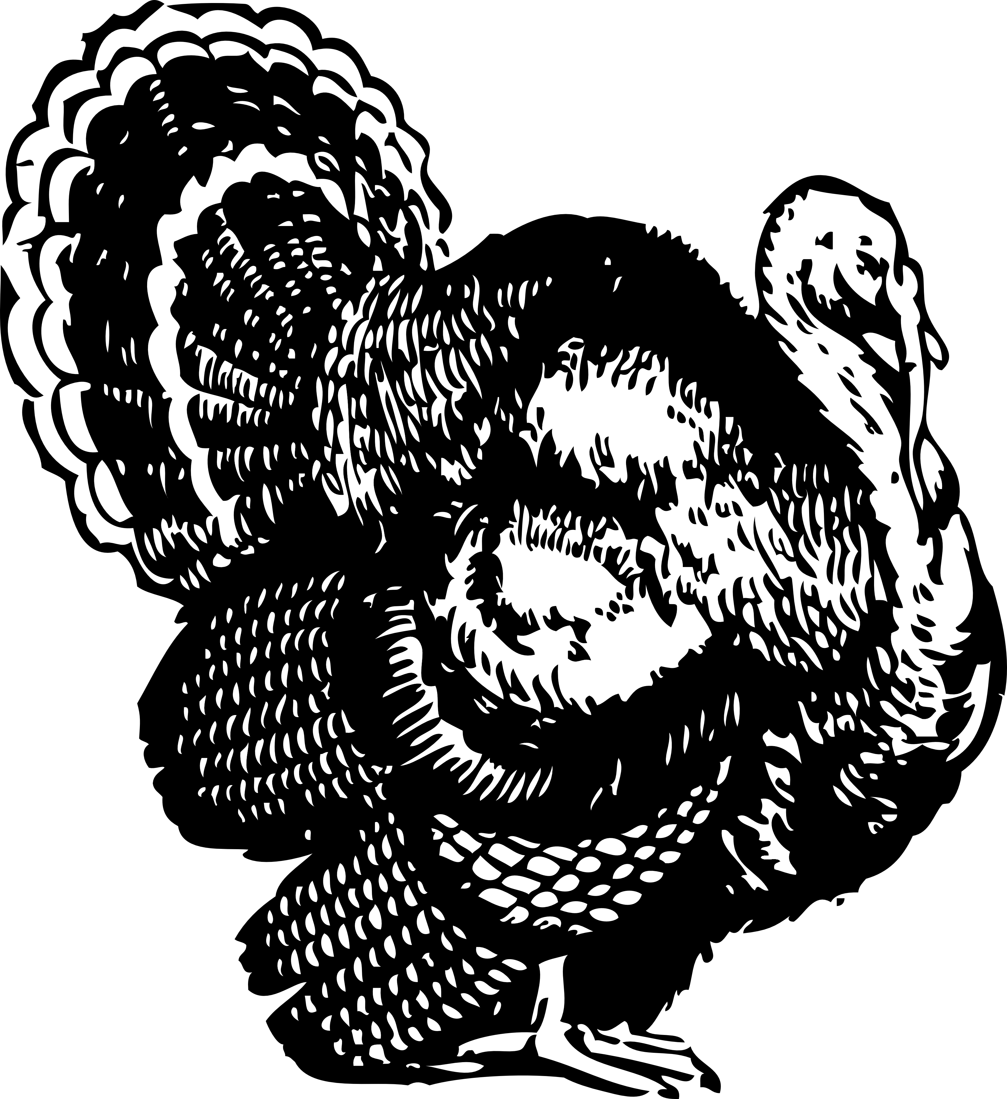 turkey-clip-art-black-and-white-clipart-best