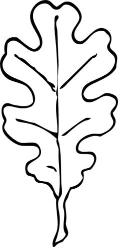 Search, Leaf template and Clip art