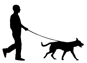 What makes a great Dog Walker? | The Alpha Dog Blog