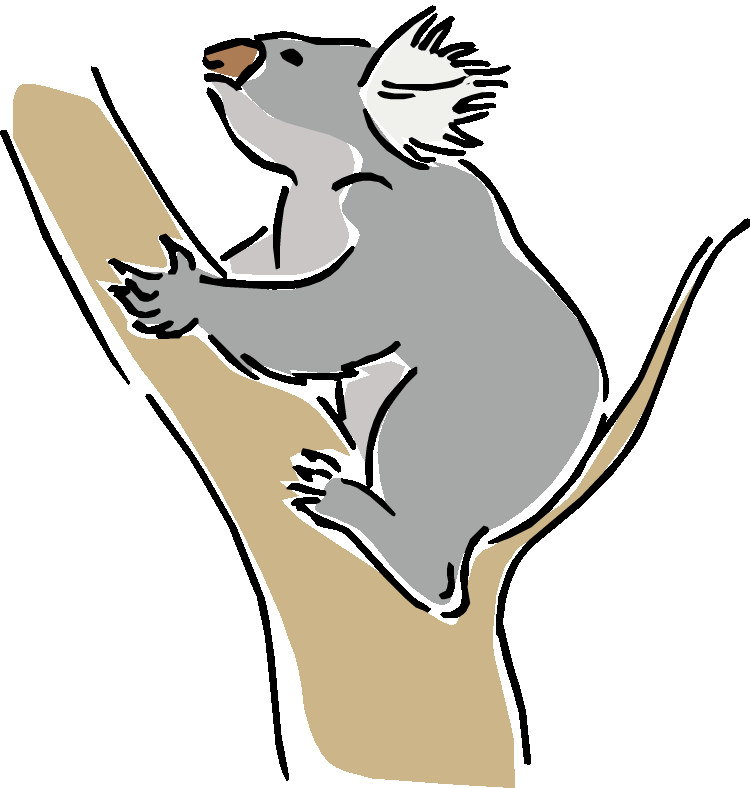 Writing koala clip art clipart