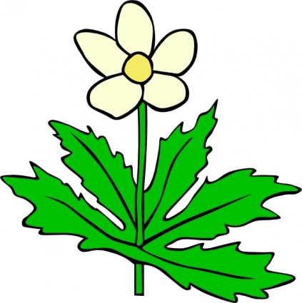 Dogwood Clipart | Free Download Clip Art | Free Clip Art | on ...