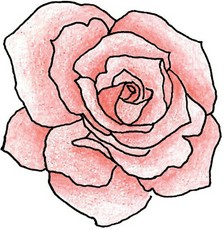 Traditional Rose Tattoo Drawing | Design images - 2