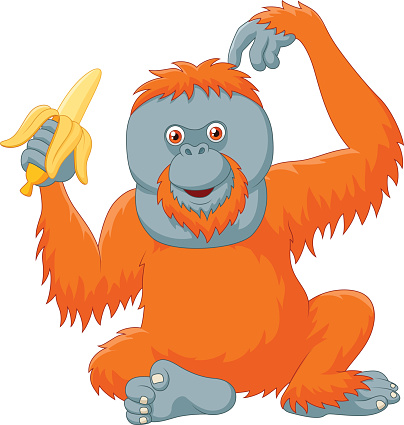Monkey Eating Fruit Clip Art, Vector Images & Illustrations
