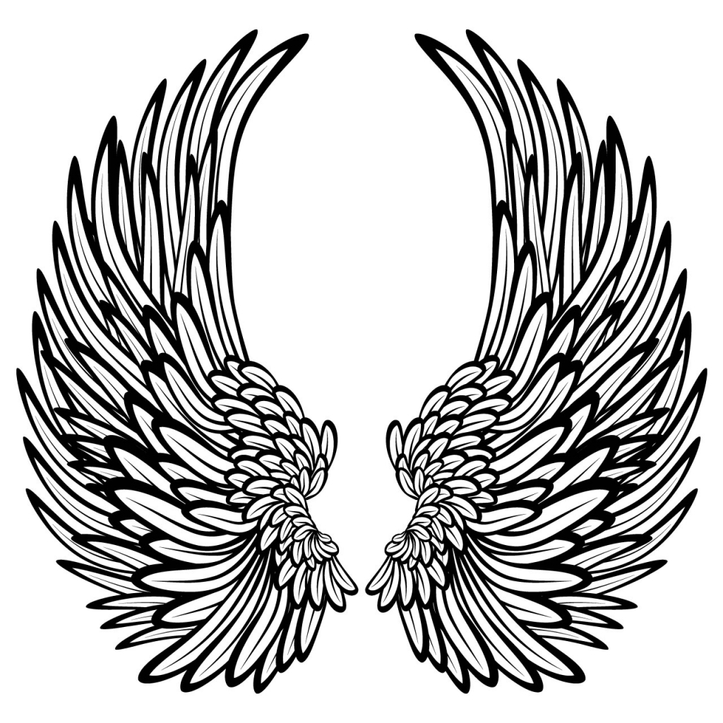 Angel Wings Drawing - Drawing Pencil