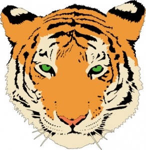 Face Of Tiger Clipart