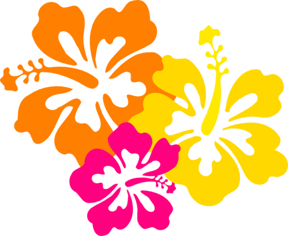 Hibiscus Flower Drawing Clipart - Free to use Clip Art Resource