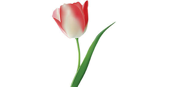 13 Single Flower Vector Images - Vector Rose Flower, Vector Rose ...