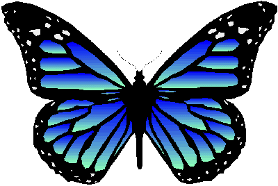 513 views Blue Butterfly Drawings - ClipArt Best