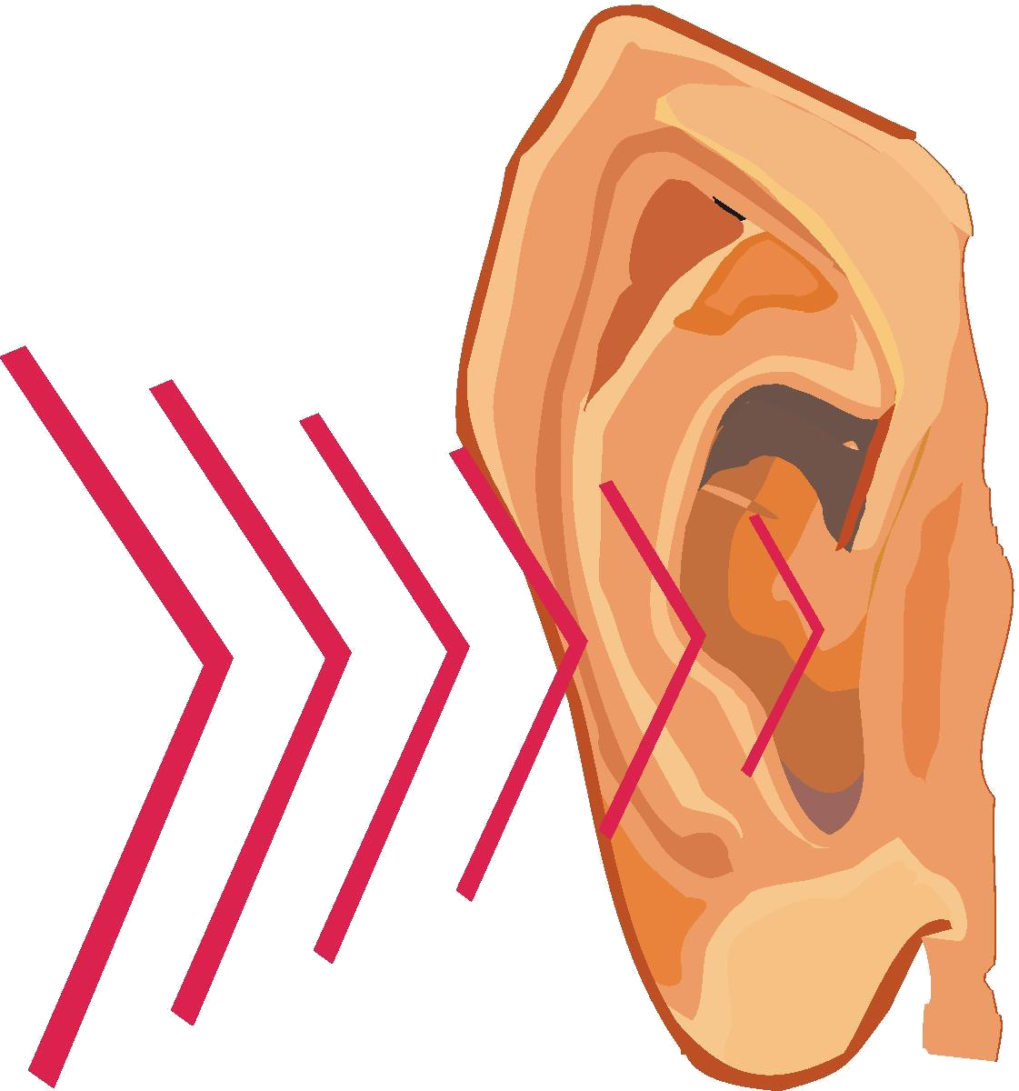 Ear sound waves clipart