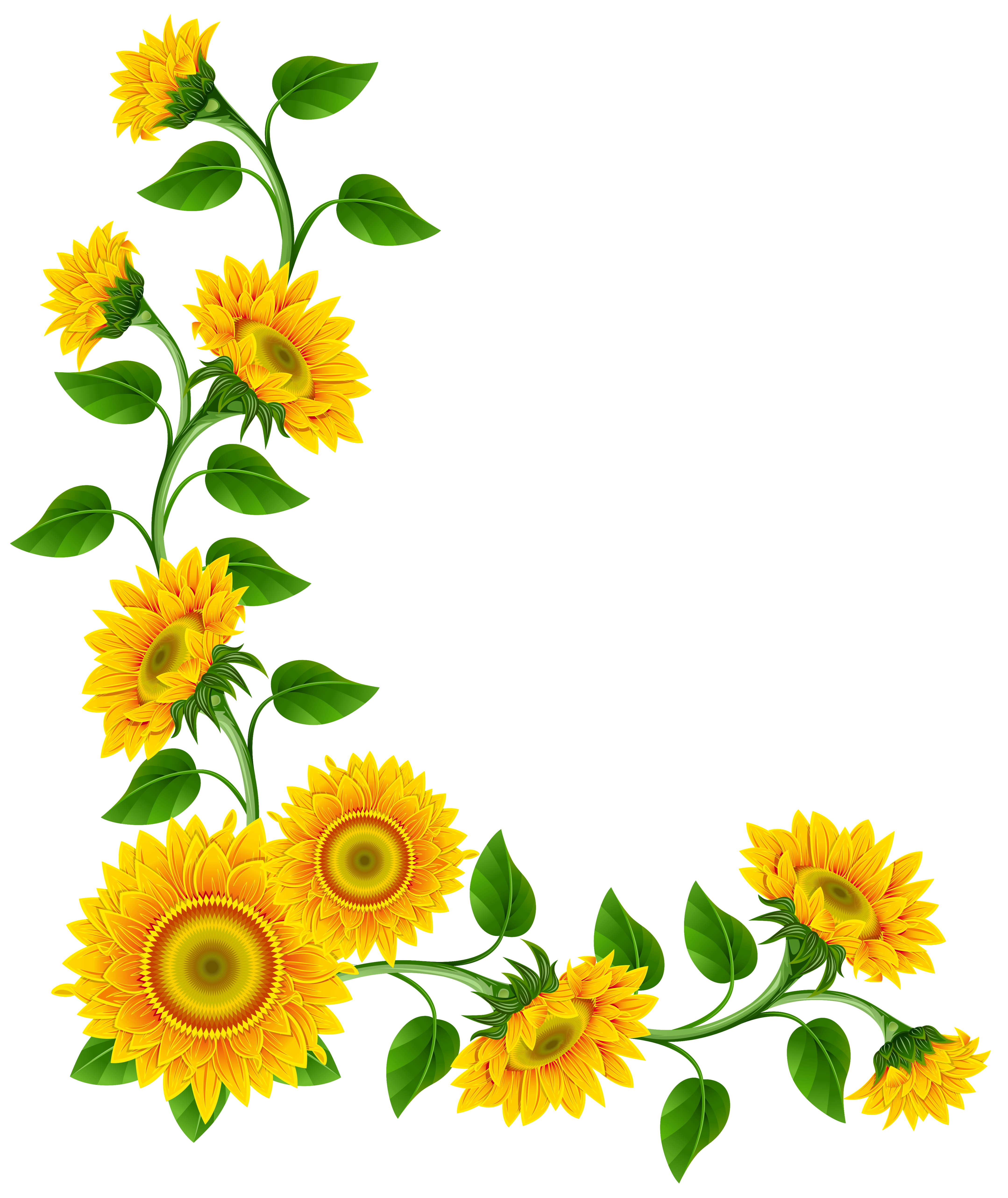 Border Clipart Sunflower Border Clipart Gallery ~ Free Clipart Images