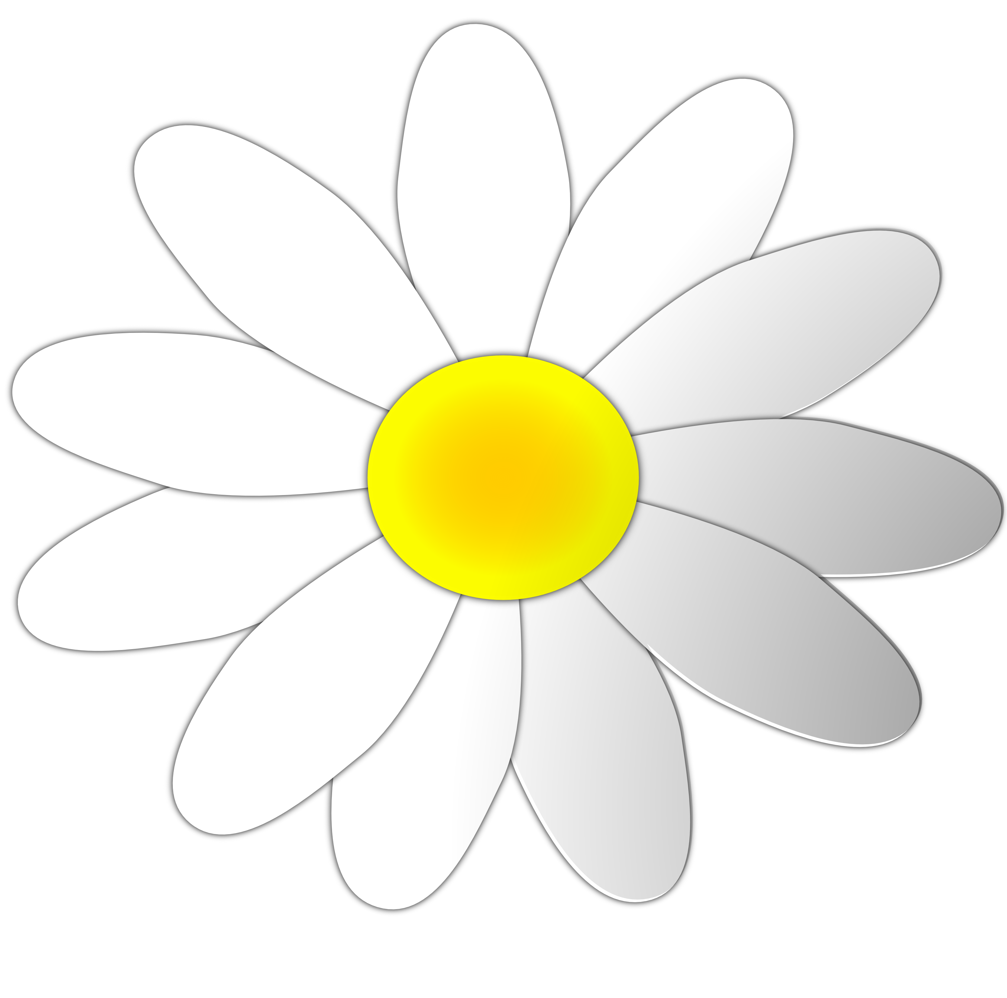 Daisy Flower Clip Art - Tumundografico