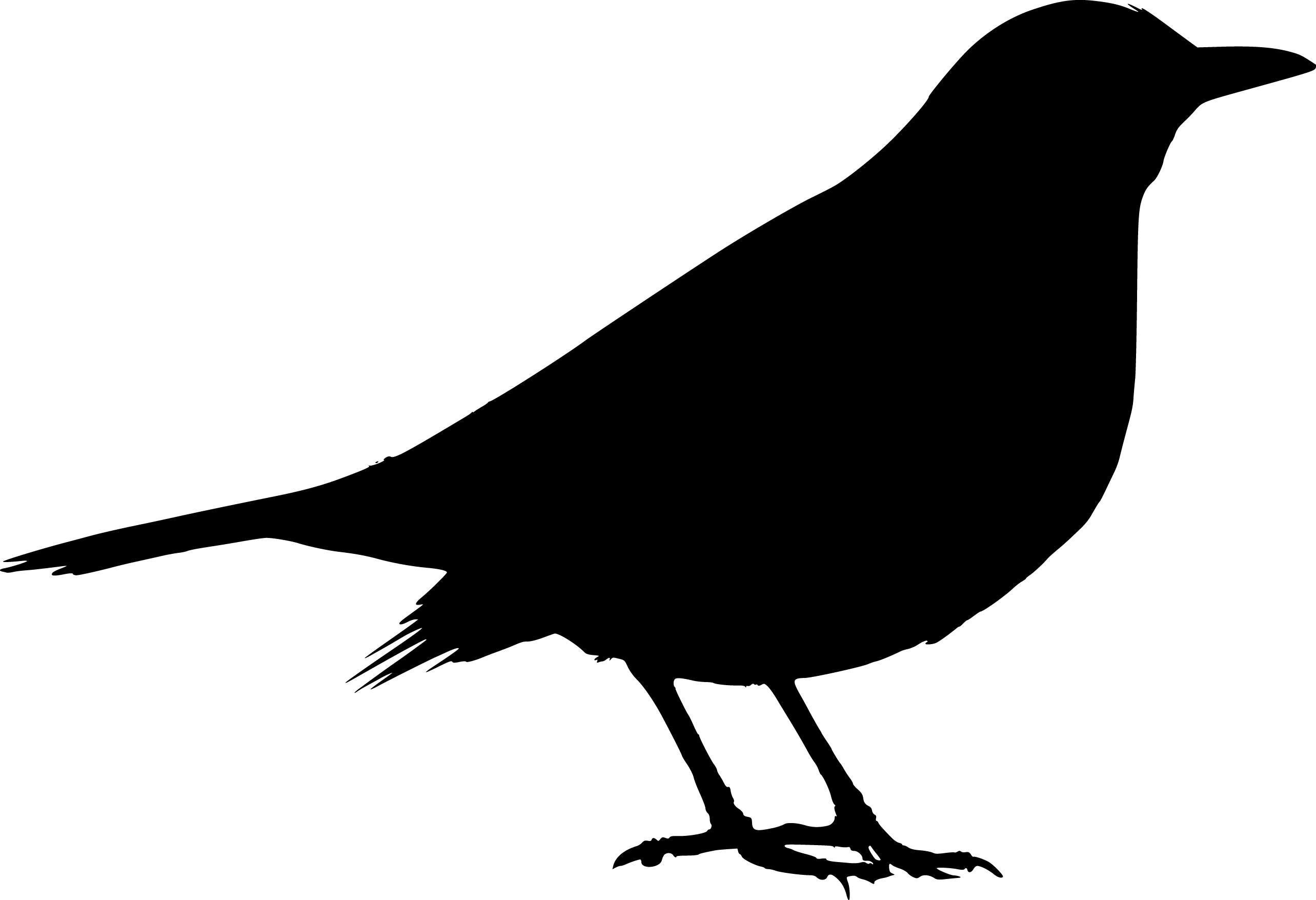 Bird Silhouette Clipart