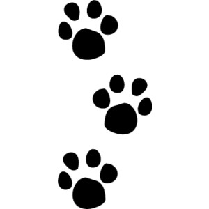 Dog paw prints clipart