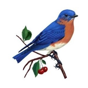 Bluebirds and Blues - Polyvore