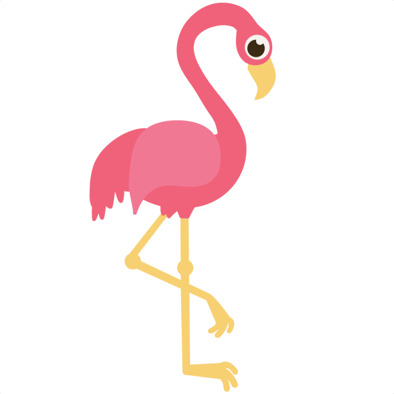 Flamingo Cartoon Clipart