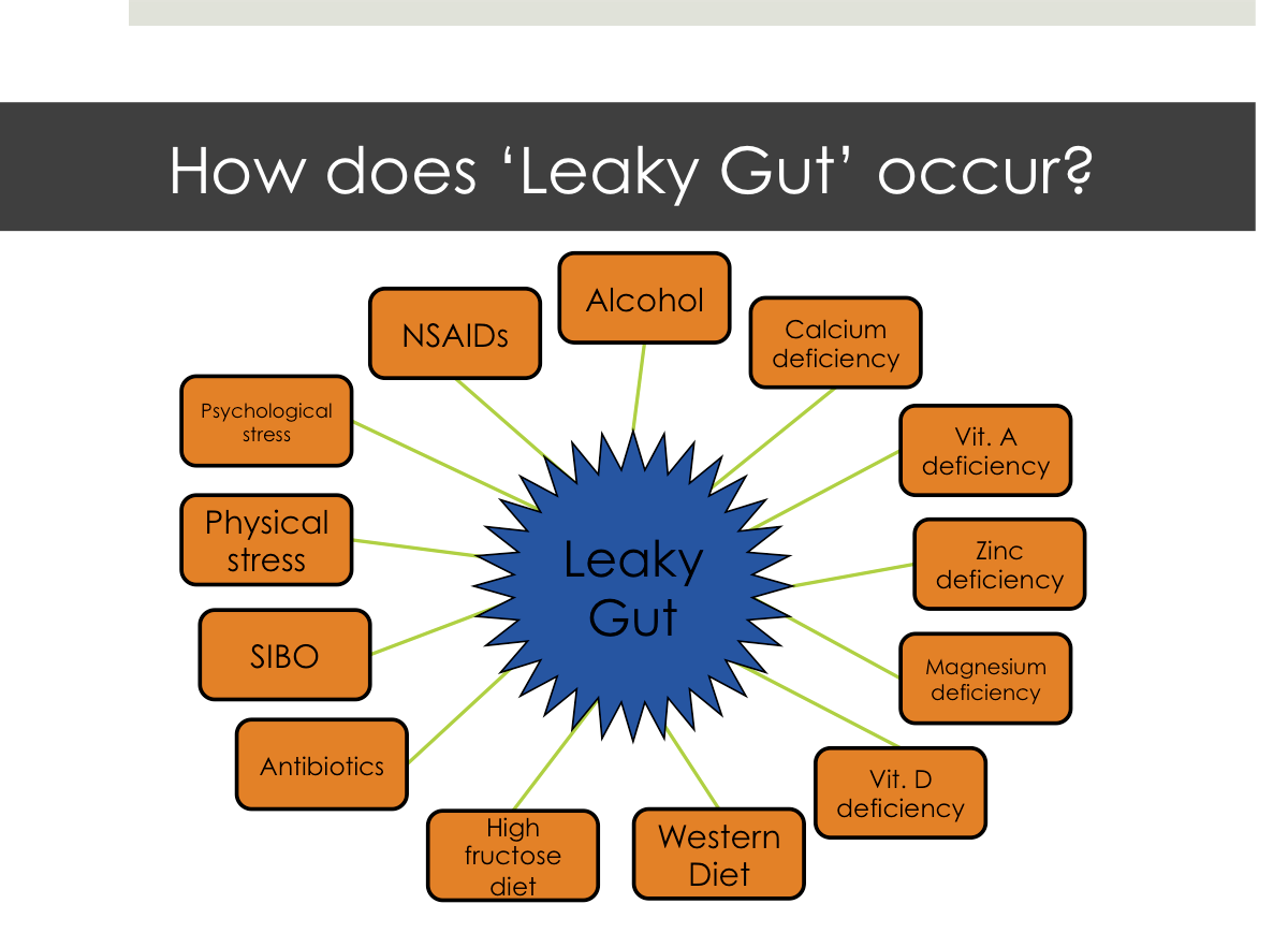 8 Pictures That Perfectly Describe Leaky Gut (and how to fix it ...
