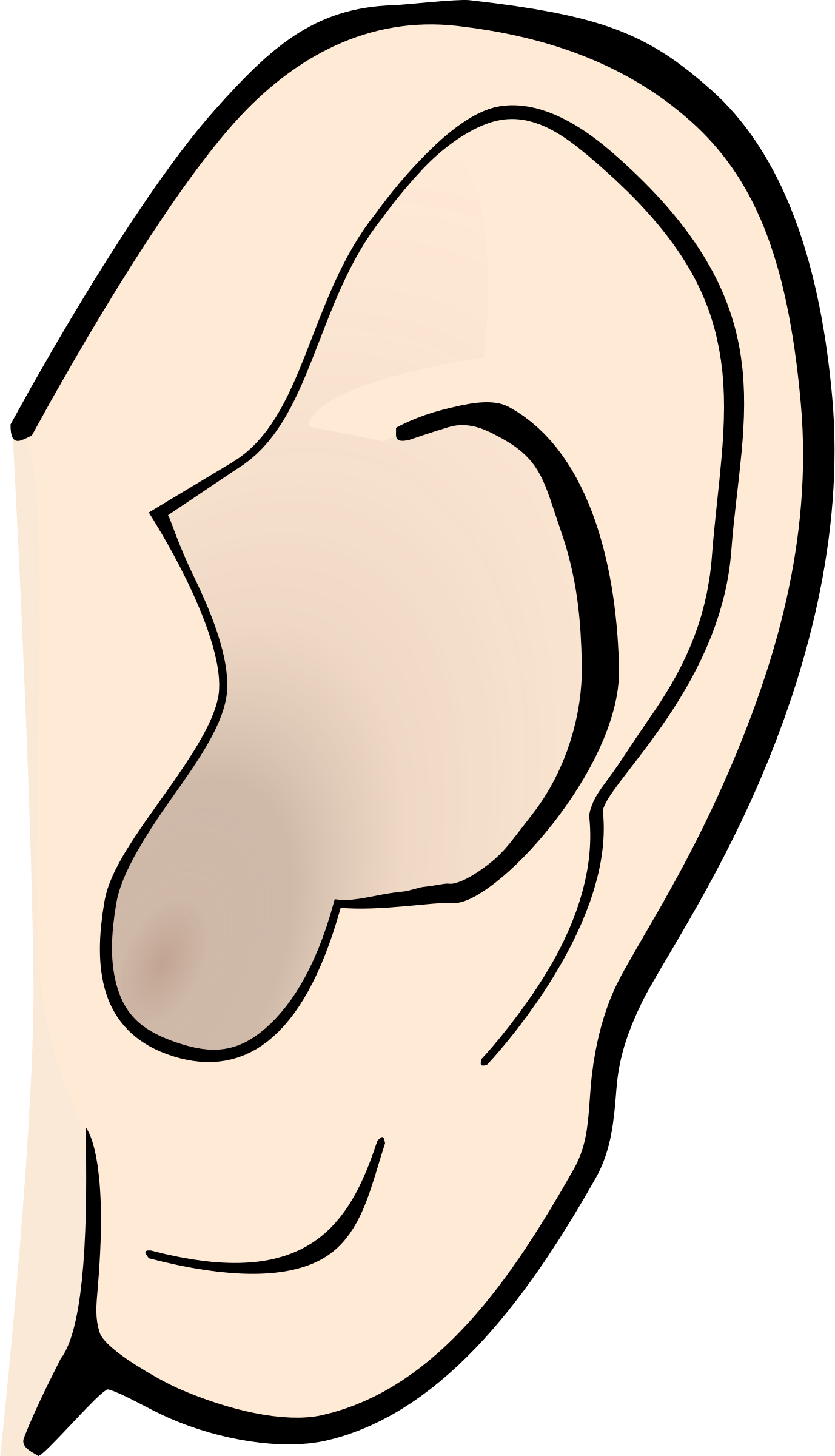 Cartoon ear clipart