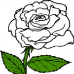 White Rose Clip Art Free - Free Clipart Images