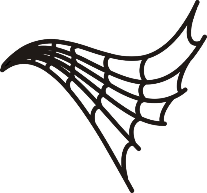 Tribal Spider Web Drawings