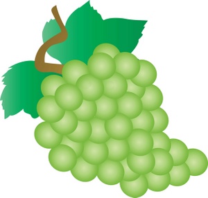 Green grapes clipart