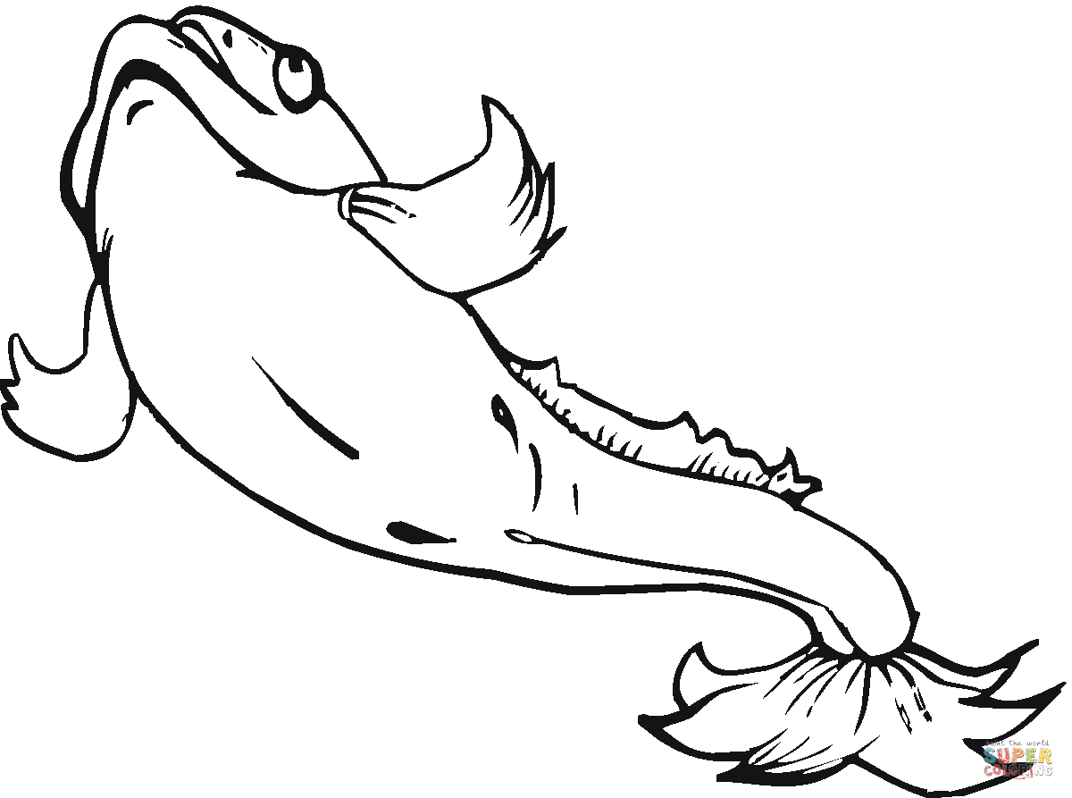 Catfish coloring pages | Free Coloring Pages