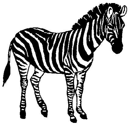 Zebra In Line Drawing